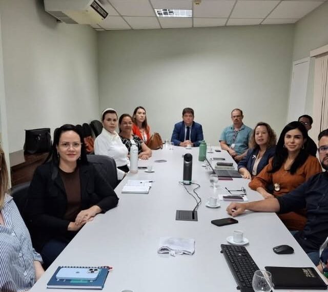 Iapen participa de reunião com instituições que compõem o Comitê de Políticas Penais para articular segundo ciclo de Monitoramento do Plano Pena Justa